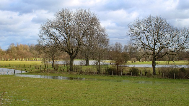 flood cleanup