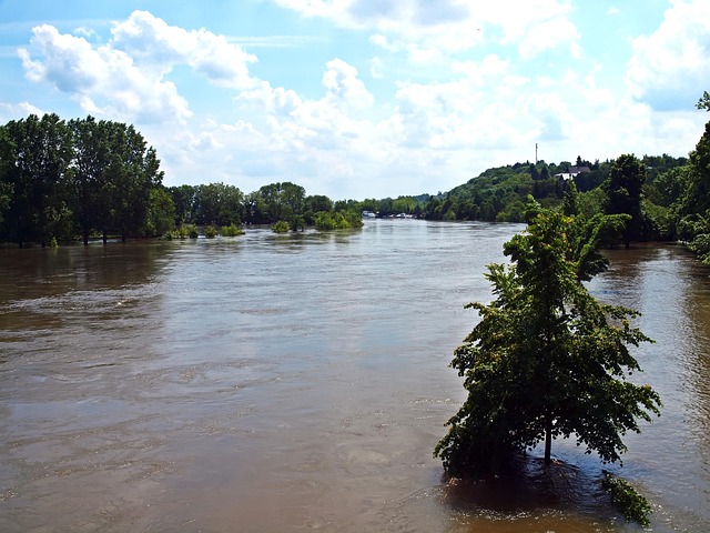 flood cleanup