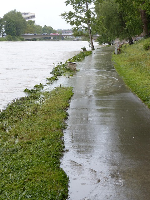 flood cleanup