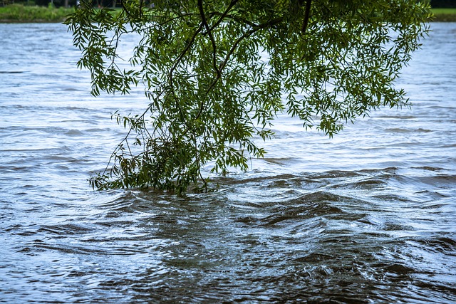 flood damage