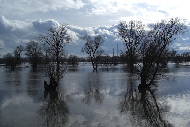 flood damage