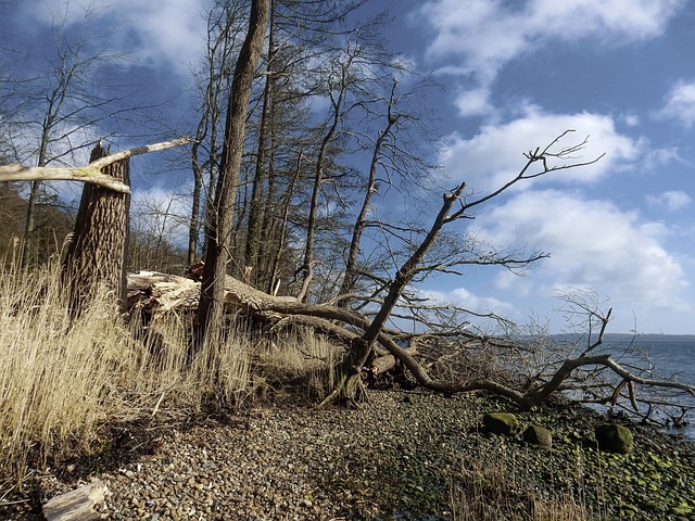 property damage