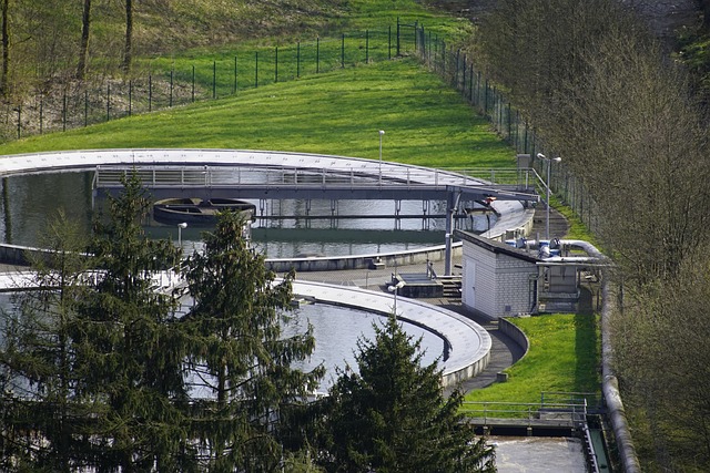 sewage cleanup