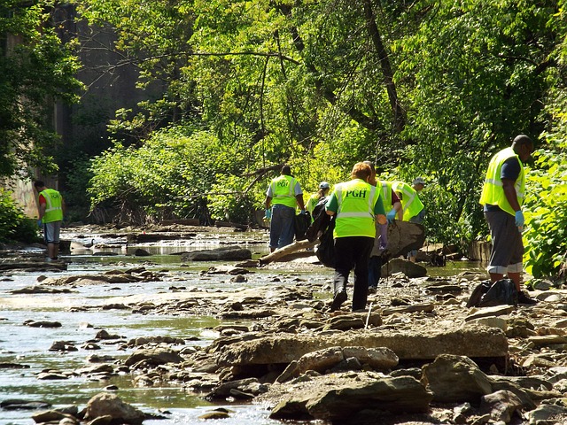 sewage cleanup