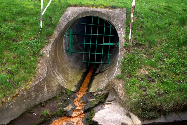 sewage cleanup