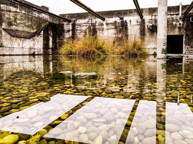sewage-cleanup-640x480-64105689.jpeg