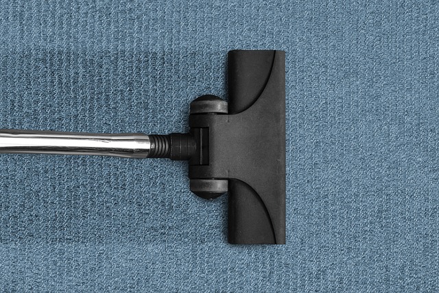sewage cleanup
