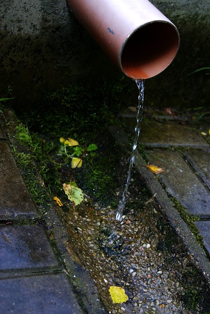 sewage-cleanup-640x480-71216540.jpeg