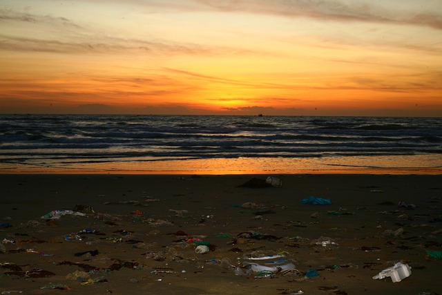 sewage-cleanup-640x480-72891436.jpeg