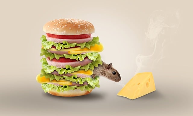 smoke odor removal