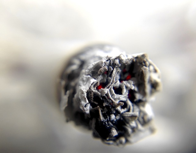 smoke odor removal