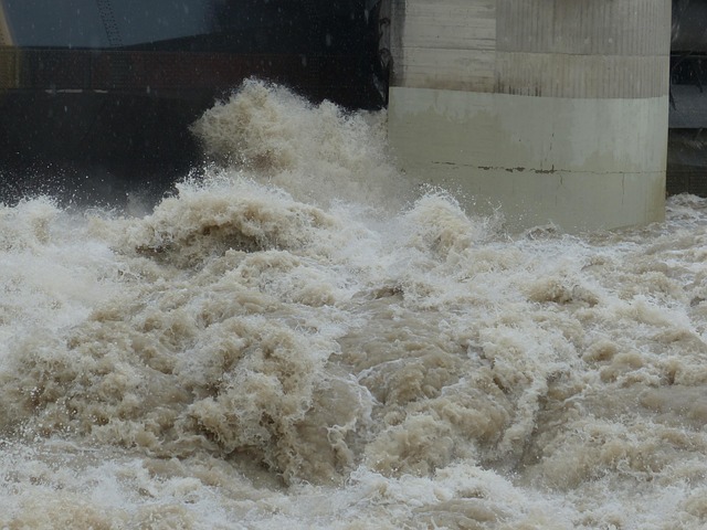 basement flood cleanup