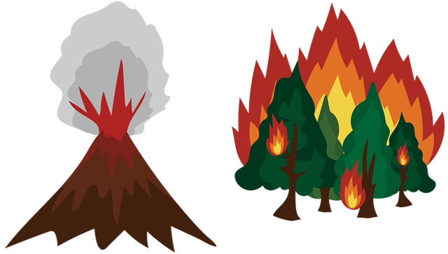disaster restoration