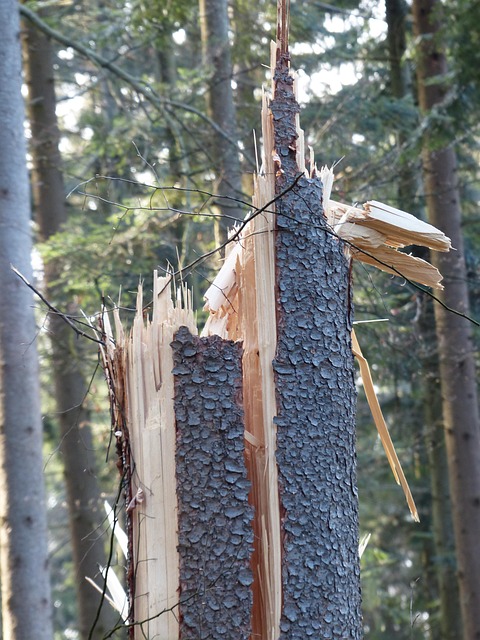 fire damage