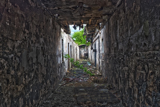 fire damage