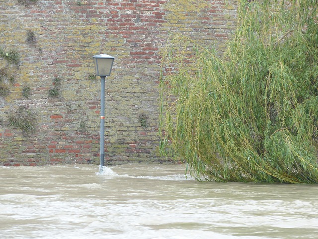 flood cleanup