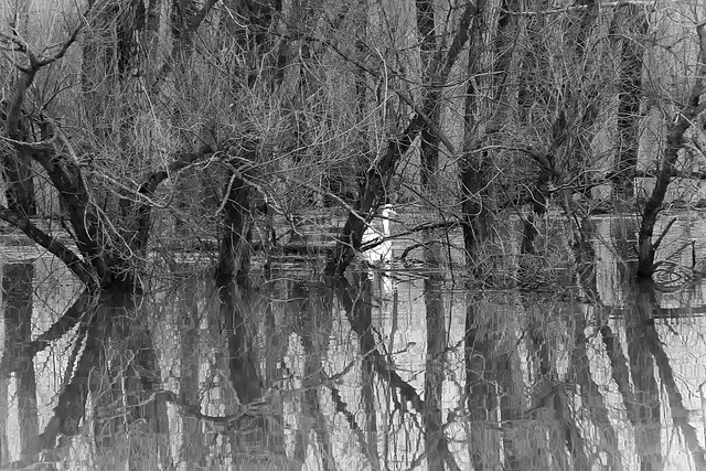 flood cleanup