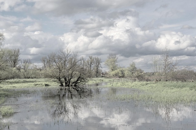 flood-damage-640x480-77659280.jpeg