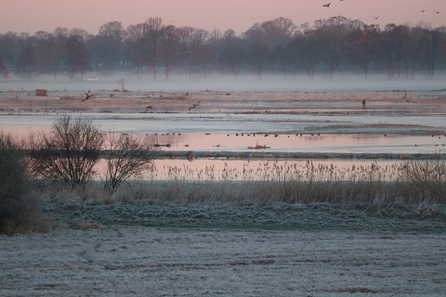 flood damage