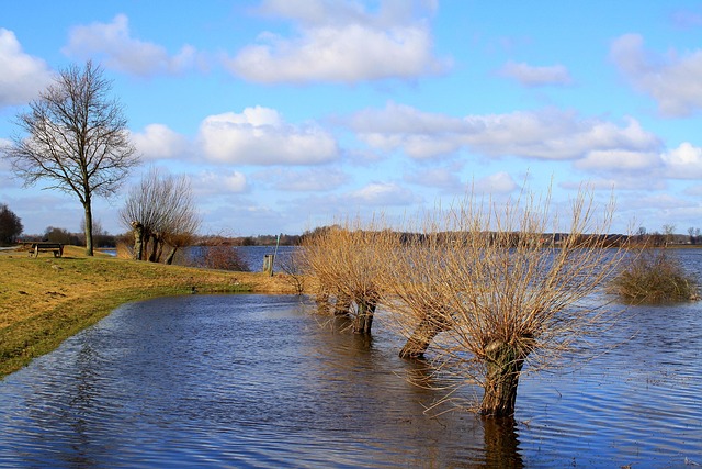 flood damage repair