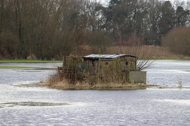 flood damage repair