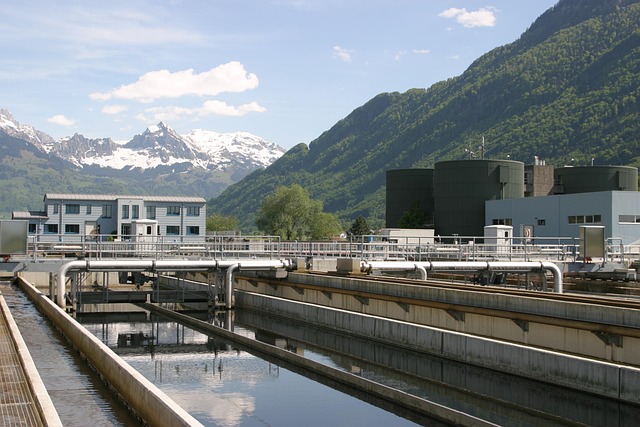 sewage cleanup