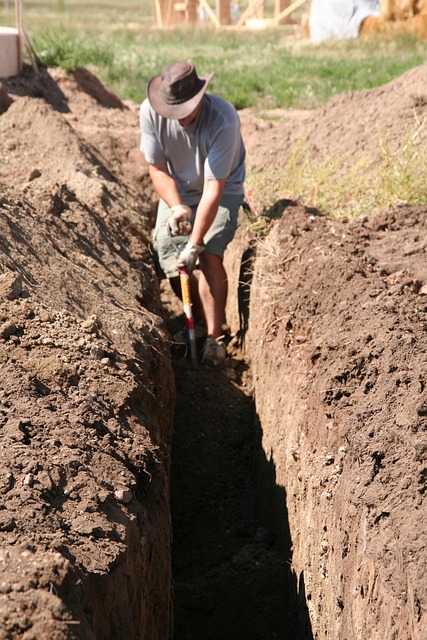 sewage cleanup