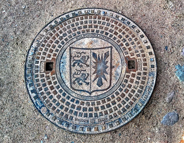 sewage cleanup