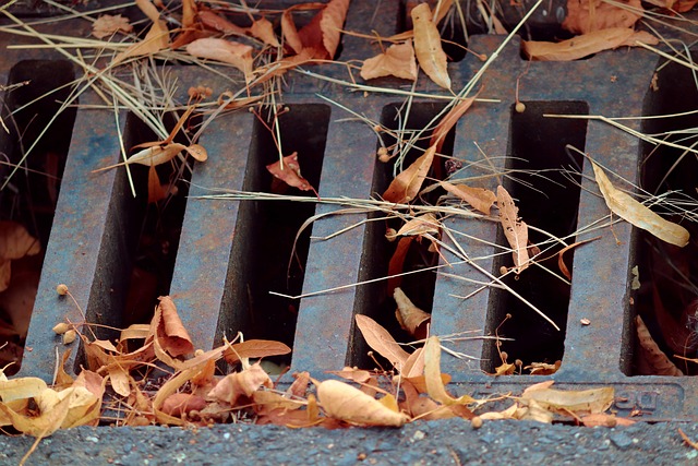 sewage cleanup
