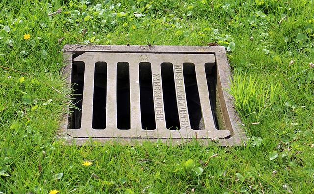 sewage cleanup