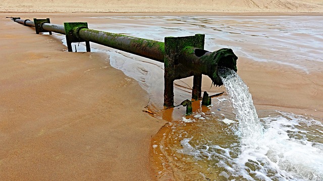 sewage cleanup