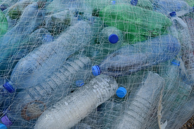 sewage cleanup