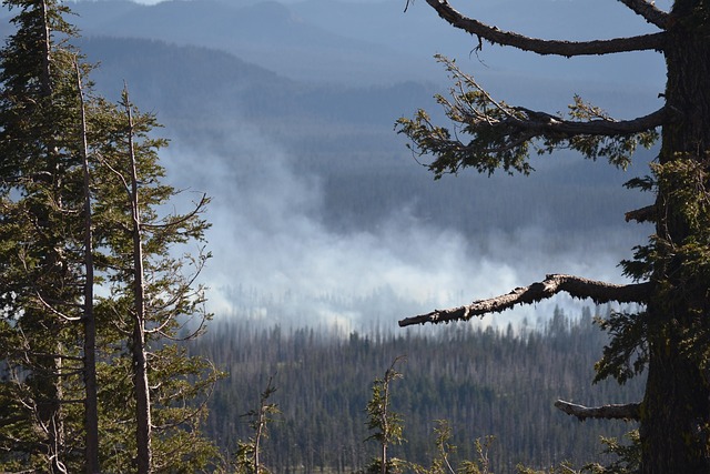 smoke-damage-640x480-4738544.jpeg