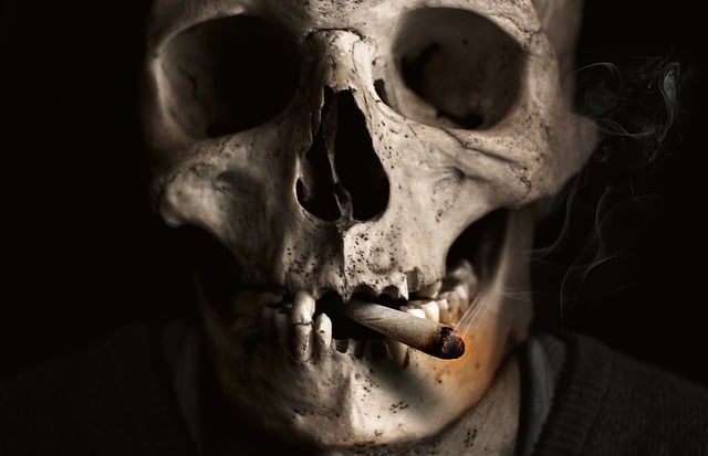 smoke odor removal
