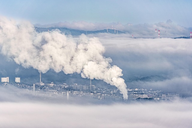 smoke odor removal
