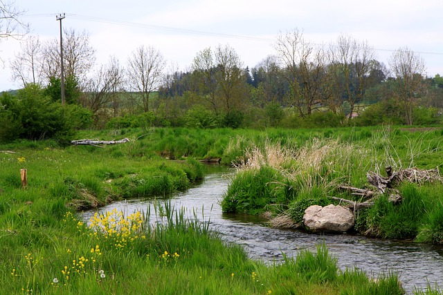 water restoration