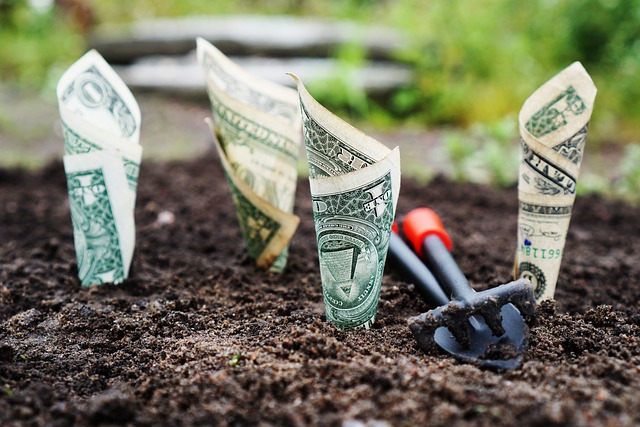 Opening a Business Bank in Williamsville: A Comprehensive Guide