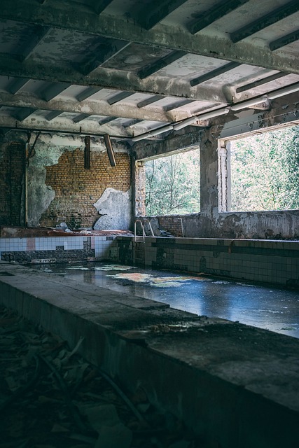 disaster restoration