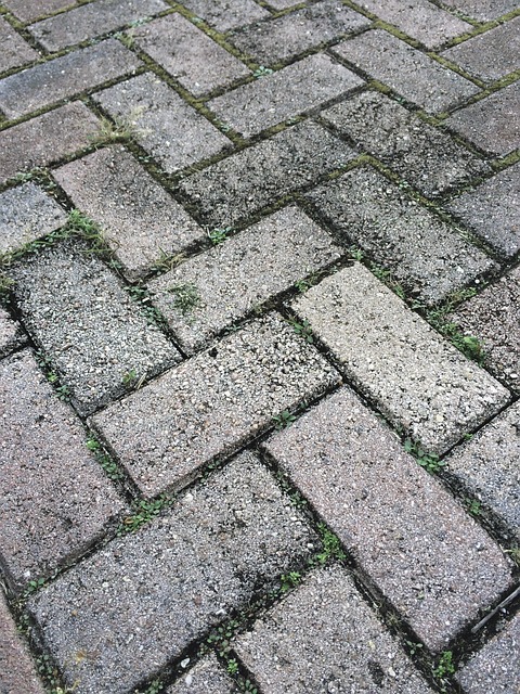 driveway paving Albany