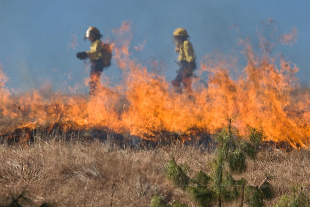 fire damage