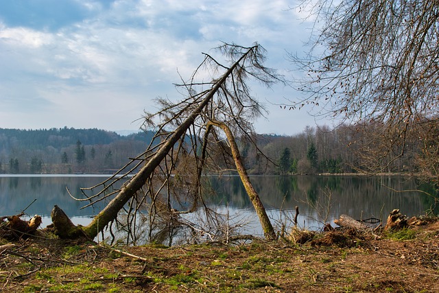 fire damage