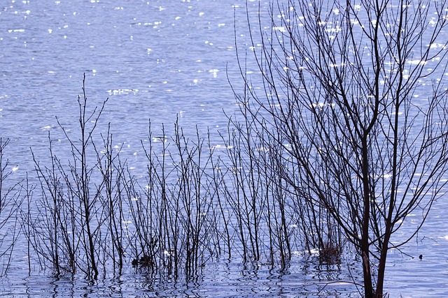 flood-cleanup-640x480-35057288.jpeg