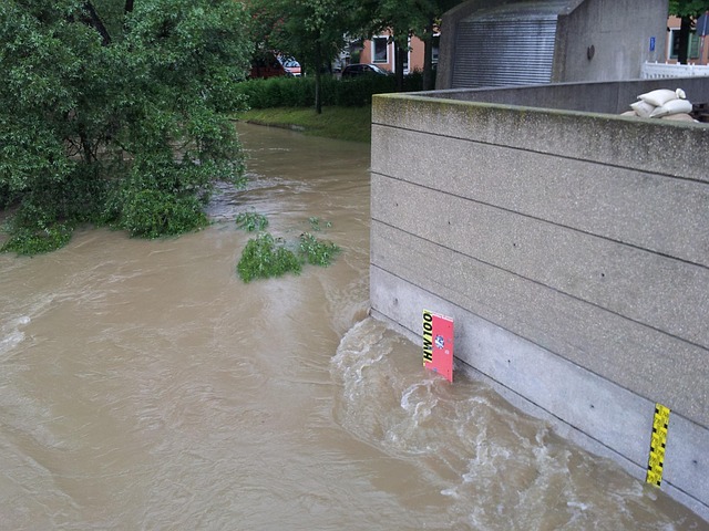flood cleanup