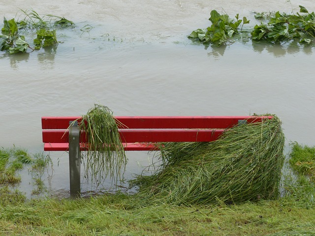 flood-cleanup-640x480-50356038.jpeg
