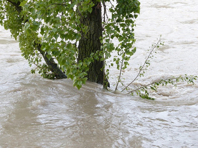 flood damage