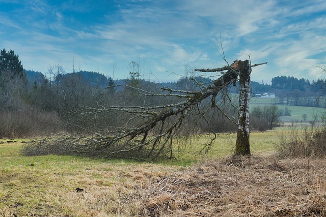 flood damage