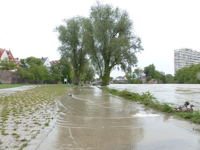 flood-damage-640x480-91835785.jpeg