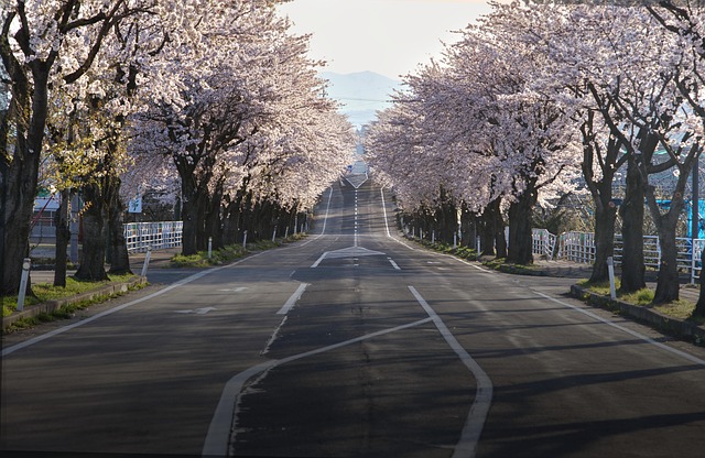 Smooth Albany NY Walkways: Pavement Maintenance Secrets Unveiled