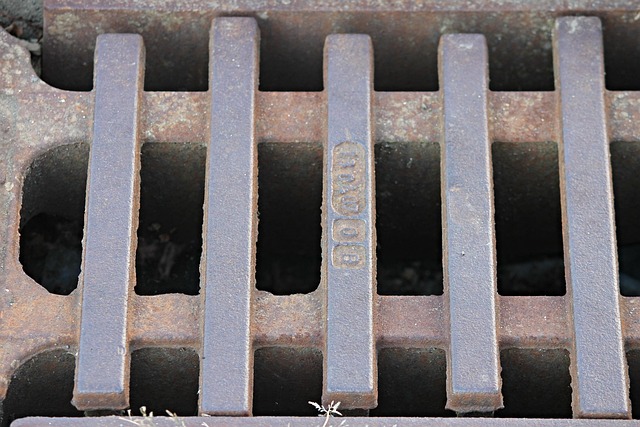 sewage cleanup