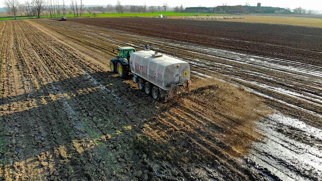 sewage cleanup